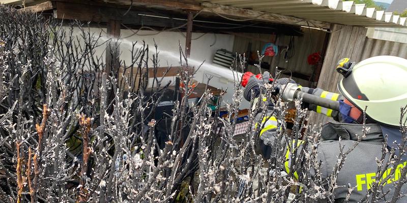 Hecke bei Abflammarbeiten in Rauch aufgegangen